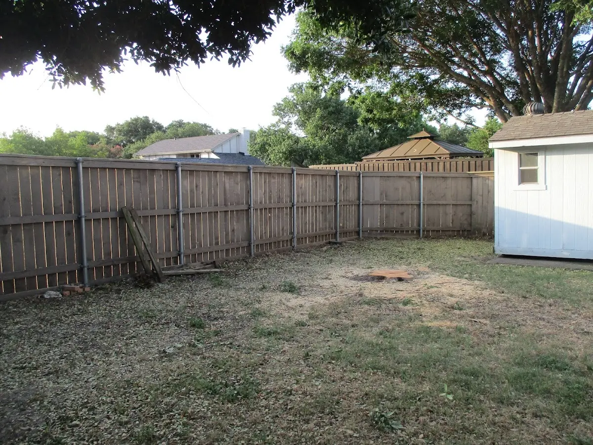 Cleared yard after professional tree removal in Science Hill